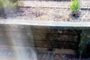 Dusty Windows that Need Cleaning