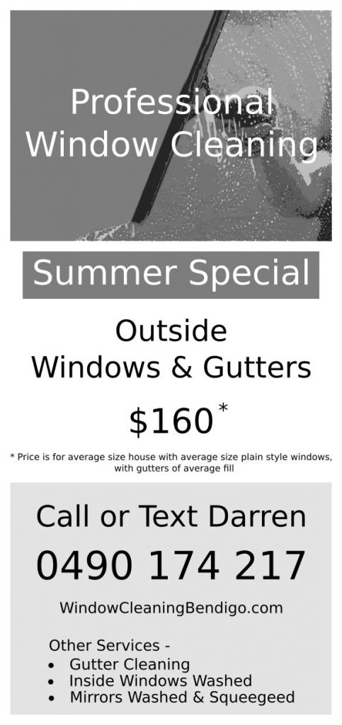 Window & Gutter Cleaning Special Flyer